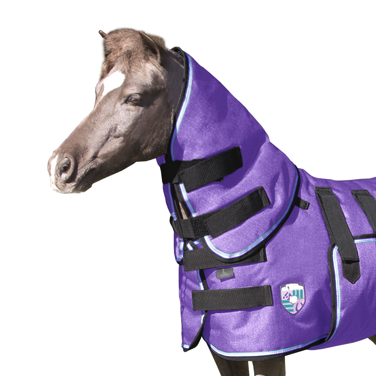 5-95814-purple.jpg