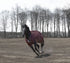 5-960296-tawnyport.jpg