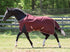 5-960303_tawny_port_front_2.jpg