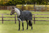 5-963880-kiwi.jpg