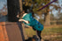 5-968098-blueplaidturquoise1.jpg