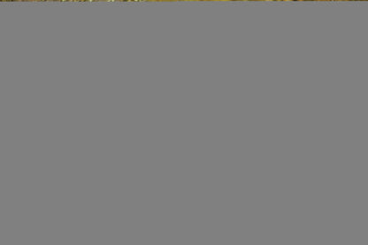 5-973051-darkbluepebbleorange.jpg