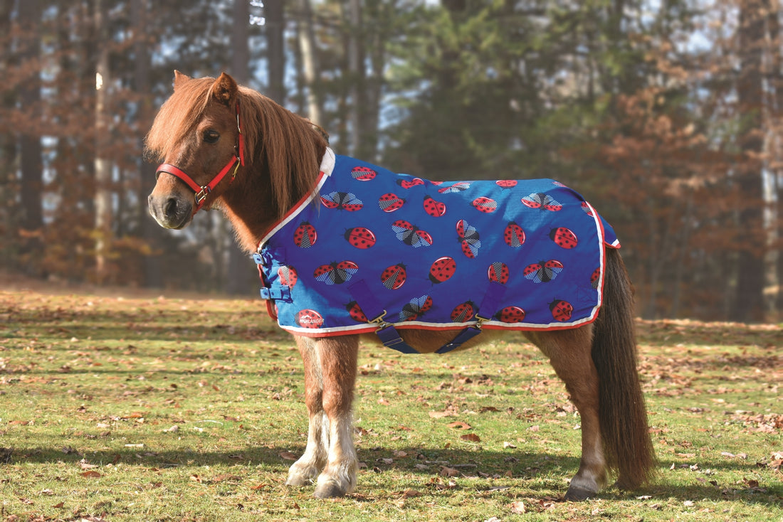 5-976412-ladybugprint.jpg