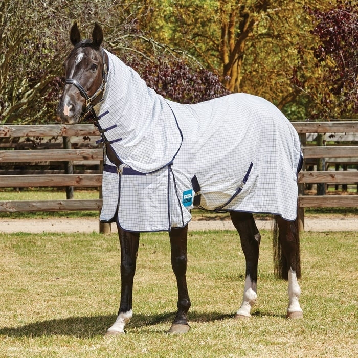 5-993751.jpg