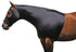 6-204977-1.jpg
