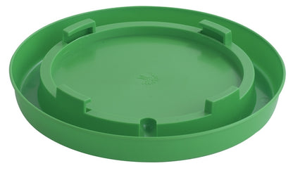 E007938_green.jpg