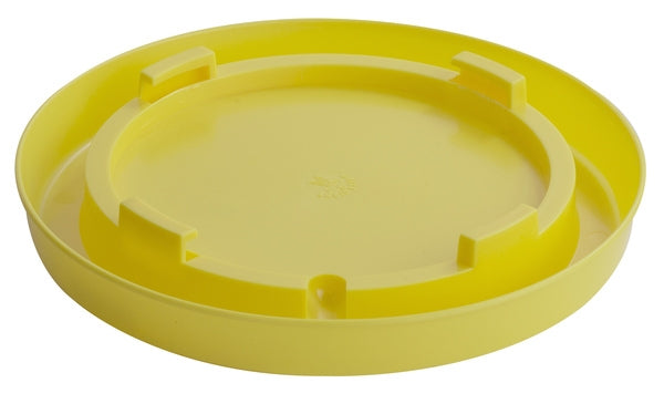 E007938_yellow.jpg