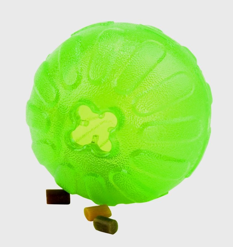 T311400_57957.jpg