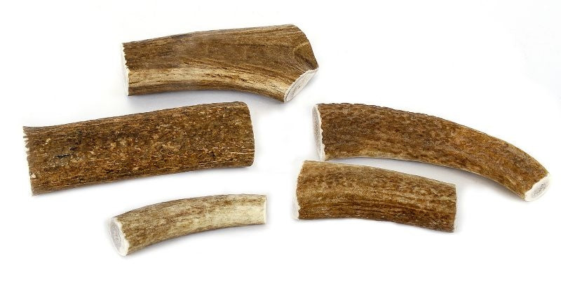 T498609.jpg