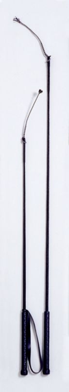 TE040166_01.jpg