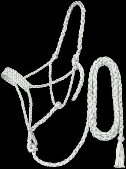 TE045562_919968.jpg
