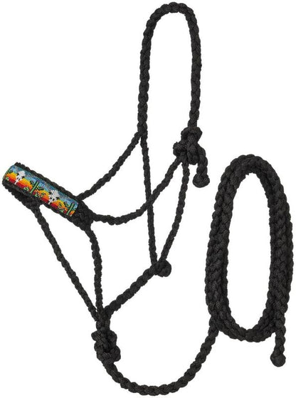 TE045563_P.jpg
