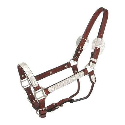 TE045570_P.jpg