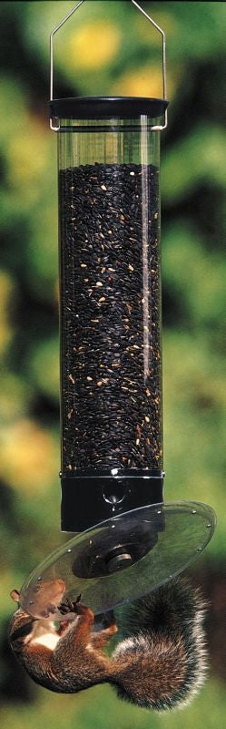 TG28174.jpg