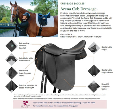 arenacobdressage.jpg