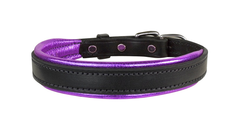dc101bpu-purple-front.jpg