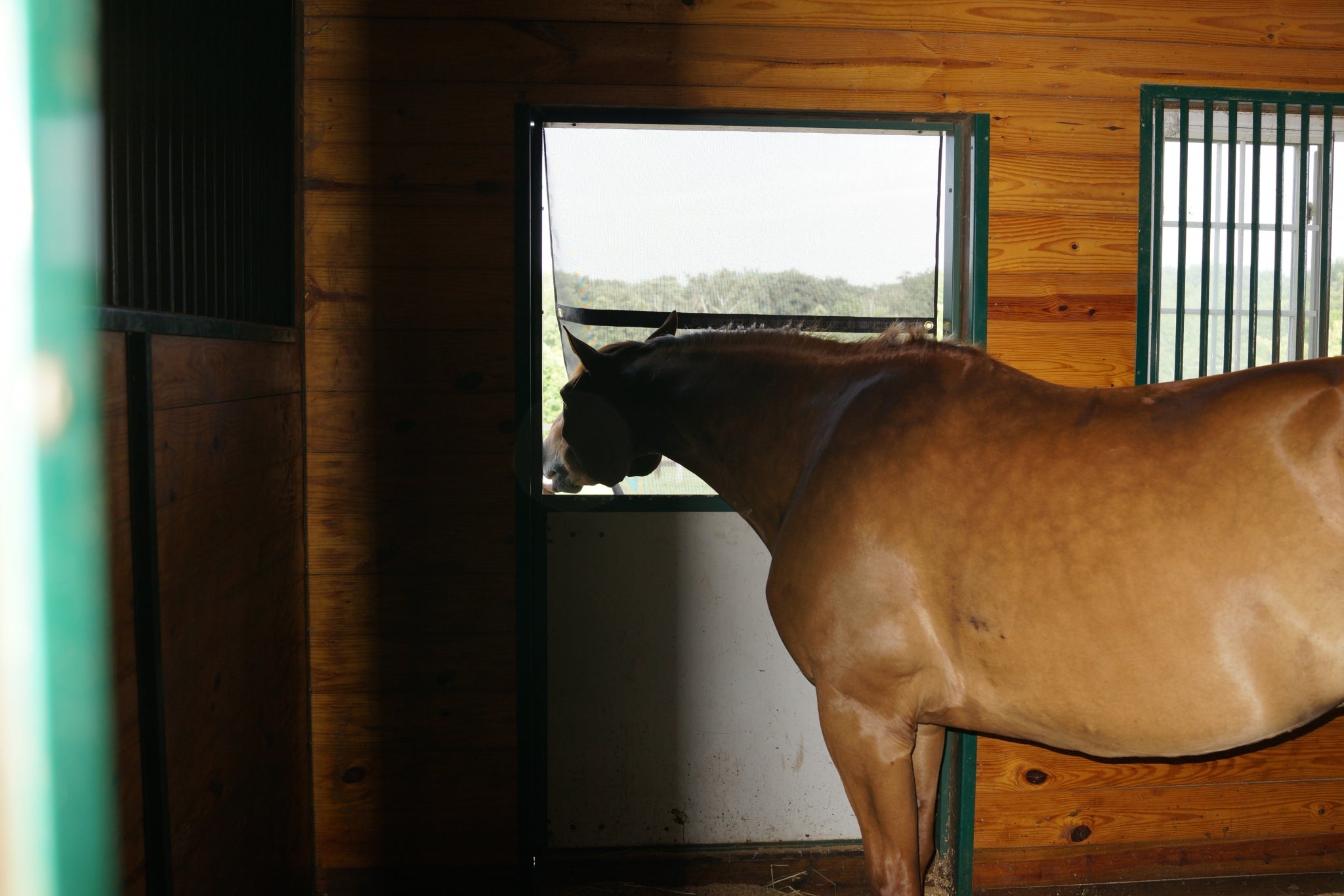 dutch-door-bay2.jpg