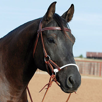 eb00045r-v2.jpg