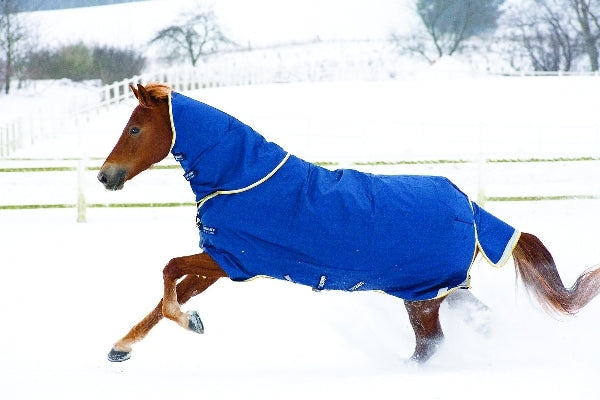 horseware-aaaa96_bolm_01.jpg