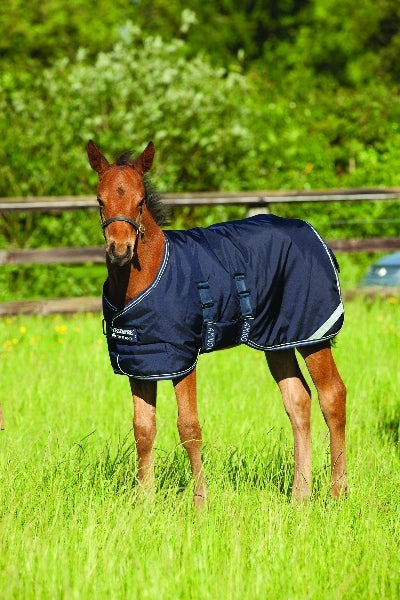 horseware-aarh1v_bbw0_01.jpg
