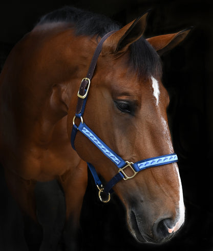navyjumpinghorses.jpg