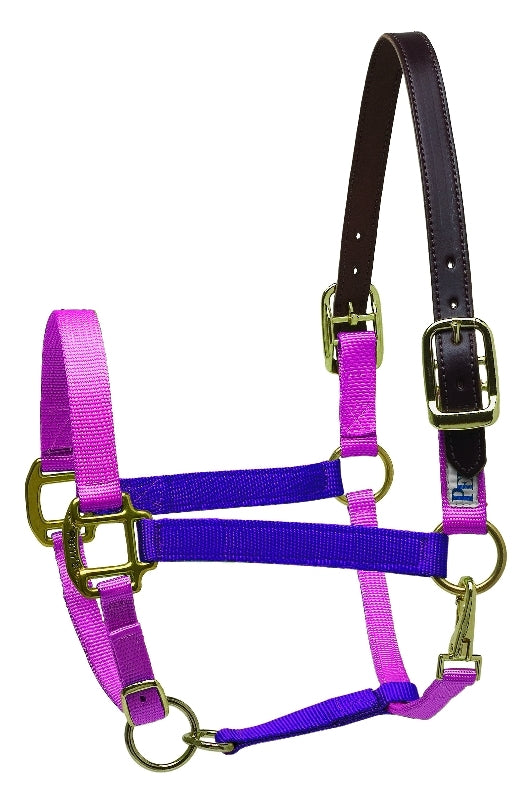 perris-153_purple-hotpink.jpg