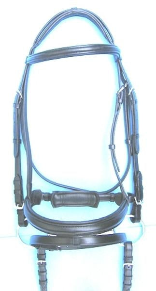 thorn20310.jpg