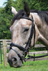 thorn20900.jpg