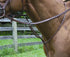 thorn22410.jpg